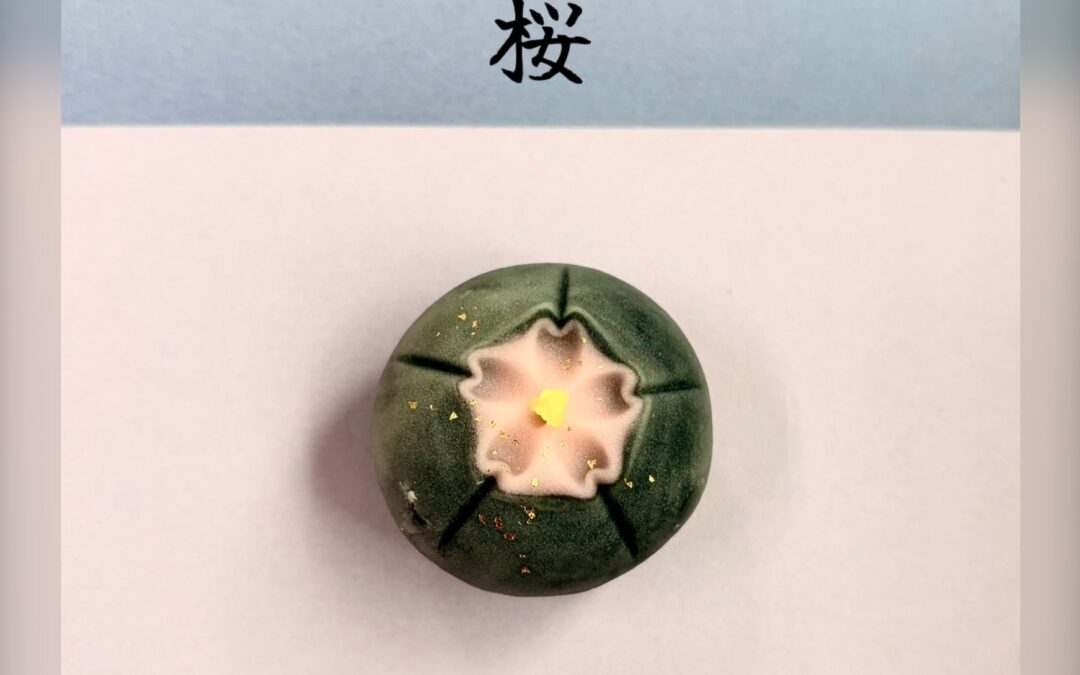 おはようございます、紅屋女将です☺️